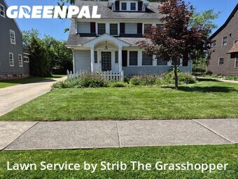 Grass Cutting nearby Euclid, OH, 