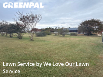 Weed Trimming in Richmond, 23223, Yard Management by We Love Our Lawn Service, work completed in Nov , 2025