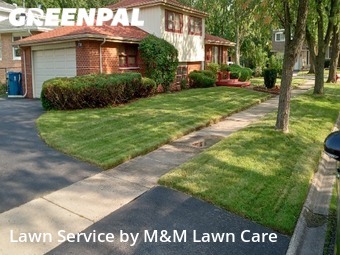 Yard Work in South Holland, 60473, Mowing Services by M&M Lawn Care, work completed in Nov , 2025
