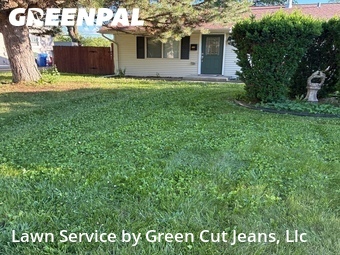 Yard Mowing nearby Carpentersville, IL, 