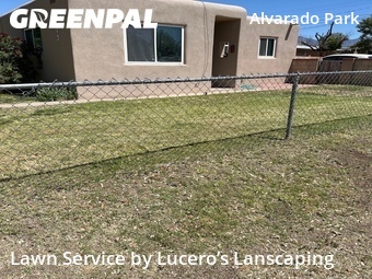 Yard Cutting nearby Albuquerque, NM, 