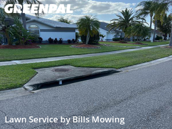 Yard Mowing nearby Palm Harbor, FL, 