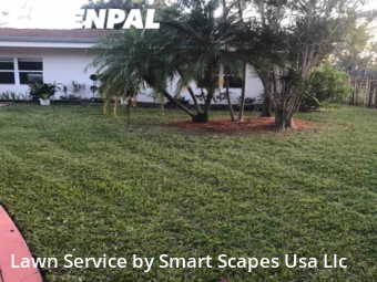 Grass Cut nearby Cutler Bay, FL, 