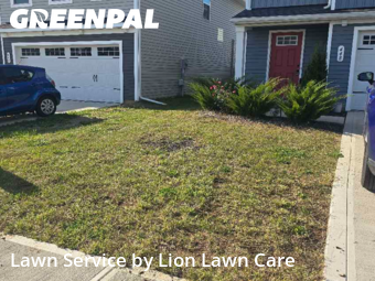 Weed Trimming in Marysville, 43040, Backyard Mowing by Lion Lawn Care , work completed in Nov , 2025