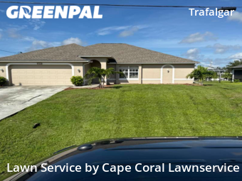 Yard Cutting nearby Cape Coral, FL, 