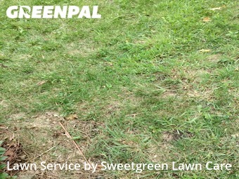 Lawn Service nearby Verona, PA, 