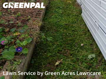 Weekly Mowing in Kingsport, 37664, Yard Care Services by Green Acres Lawncare , work completed in Nov , 2025