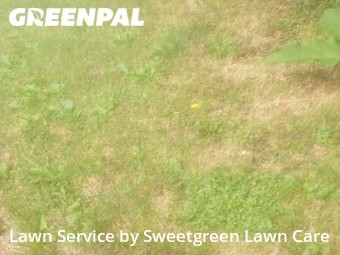 Grass Cutting nearby Pittsburgh, PA, 