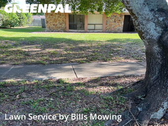 Yard Cutting nearby Dunedin, FL, 