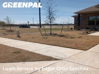 Lawn Mowing nearby Princeton, TX, 