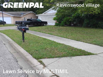 Grass Cutting in Hudson, 34667, Yard Services by MULTIMIL , work completed in Nov , 2025