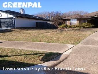 Yard Mowingin Keller,76248,Lawn Cut by Olive Branch Lawn, work completed in Jan , 2026