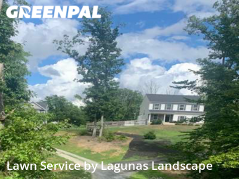 Grass Cut nearby Fredericksburg, VA, 