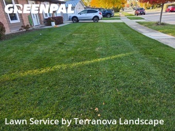 Lawn Maintenancein Elgin,60120,Lawn Care by Terranova Landscape, work completed in Jan , 2026