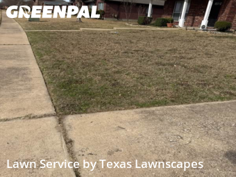Lawn mowed in Murphy, 75094
