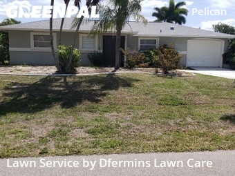 Lawn Cut nearby Cape Coral, FL, 