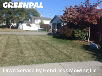 Weed Trimming in Lorain, 44053, Yard Services by Hendricks Mowing Llc, work completed in Nov , 2025