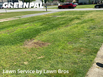 Lawn Cut nearby Chesapeake, VA, 