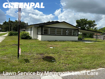 Yard Cutting nearby Plant City, FL, 