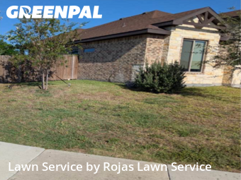 Yard Care Services in Harlingen, 78552, Grass Services by Rojas Lawn Service, work completed in Nov , 2025