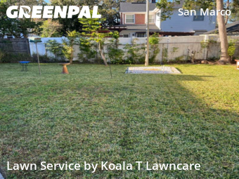 Yard Cutting nearby Jacksonville, FL, 