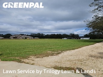 Grass Cutting nearby Loxley, AL, 