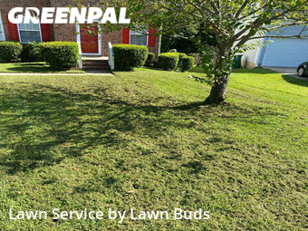 Lawn Maintenance nearby Charlotte, NC, 