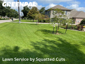 Lawn Mow nearby Lafayette, LA, 