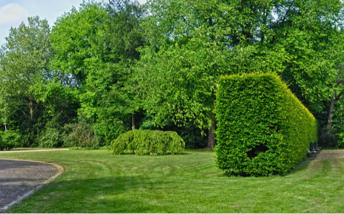 Work Image 4