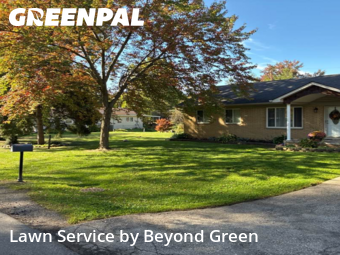 Turf Services in Taylor, 48180, Lawn Work by Beyond Green, work completed in Dec , 2025