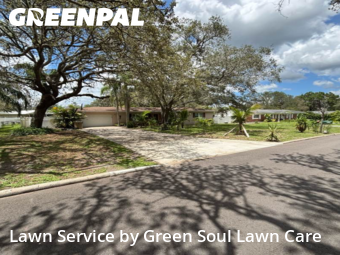 Lawn Cutting nearby Temple Terrace, FL, 