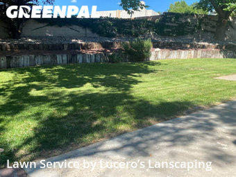 Grass Cutting nearby Albuquerque, NM, 