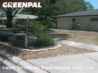 Lawn Mowing nearby Clearwater, FL, 