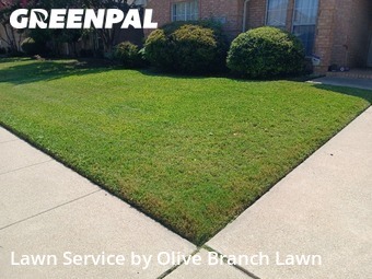 Grass Cuttingin Haltom City,76137,Grass Cutting by Olive Branch Lawn, work completed in Nov , 2025