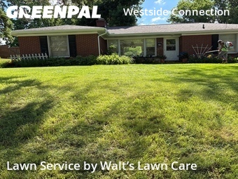 Lawn Cut nearby Grand Rapids, MI, 