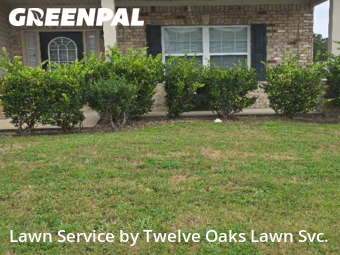 Grass Cutting nearby Phenix City, GA, 