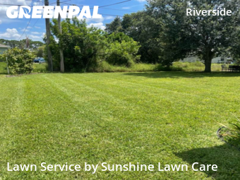Lawn Care nearby Port St. Lucie, FL, 