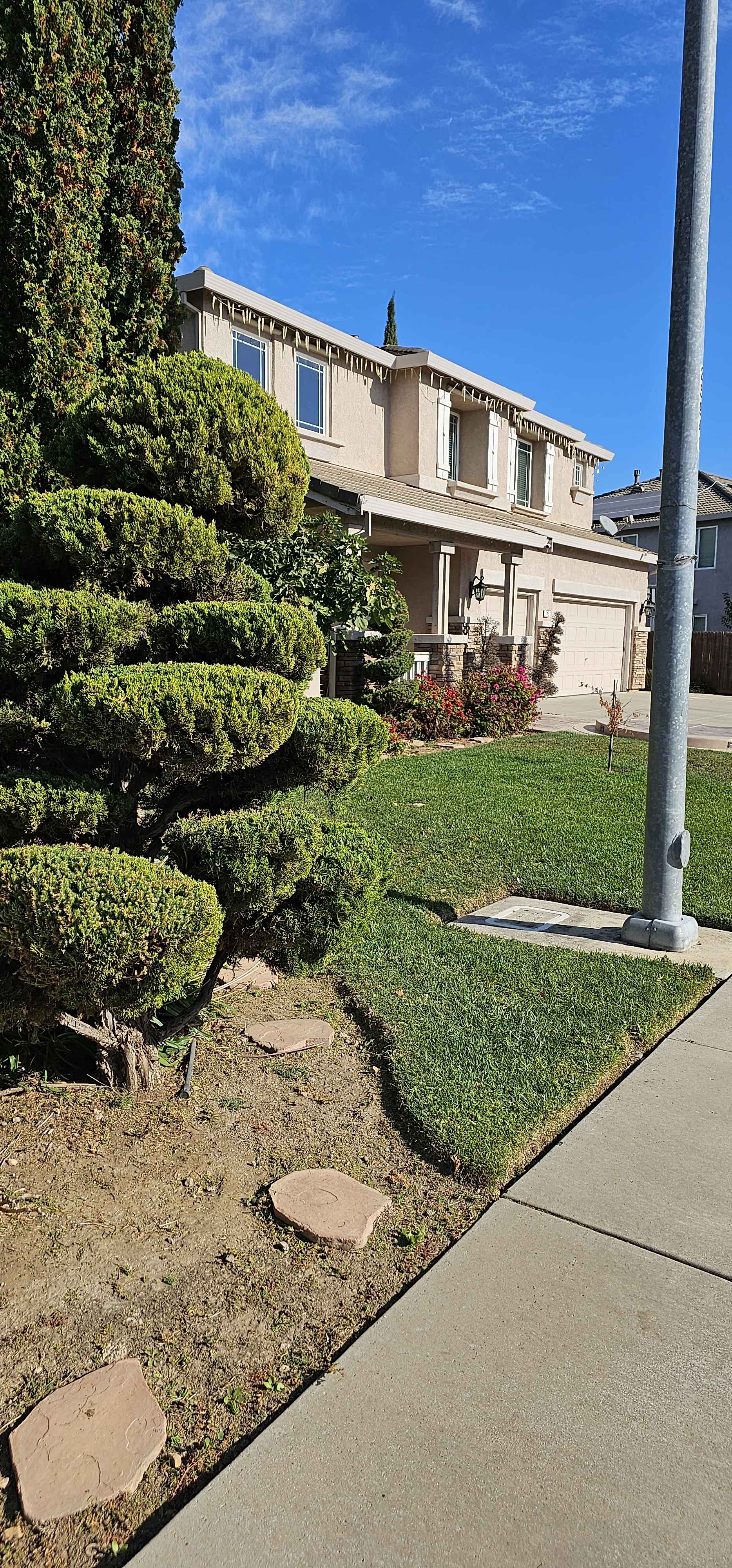 Order Lawn Care in Stockton, CA, 95219