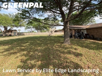 Grass Cut nearby Seguin, TX, 