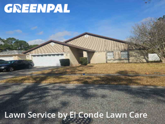 Grass Cut nearby Orlando, FL, 