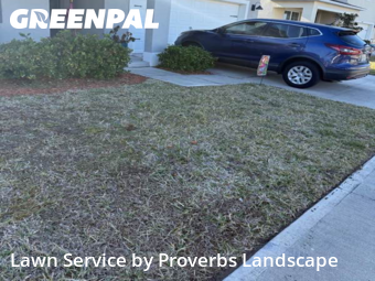 Lawn Cutting nearby Osceola County, FL, 
