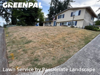 Yard Cutting in Lacey, 98503, Lawn Services by Passionate Landscape, work completed in Nov , 2025