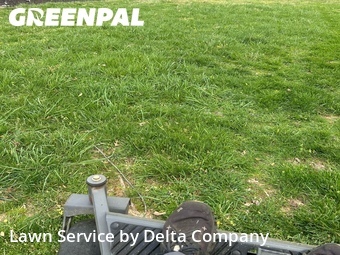Lawn Cut nearby Bowling Green, KY, 