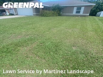 Lawn Cutting nearby Summerfield, FL, 