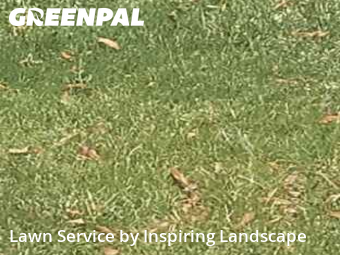 Lawn Mowingin Parker,80134,Lawn Cutting by Inspiring Landscape, work completed in Nov , 2025