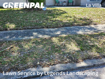 Lawn Cut nearby Holiday, FL, 