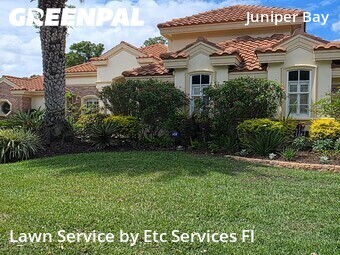 Lawn Maintenance nearby Palm Harbor, FL, 
