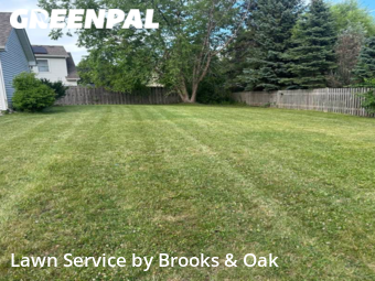 Yard Mowing nearby North Aurora, IL, 