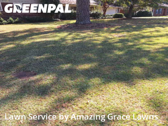 Yard Cuttingin Lawrenceville,30046,Grass Cut by Amazing Grace Lawns, work completed in Nov , 2025