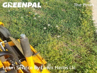 Landscaping Installation Greensboro,27406,Landscaping Renovation by Lawn Heros Llc , work completed in Apr , 2026